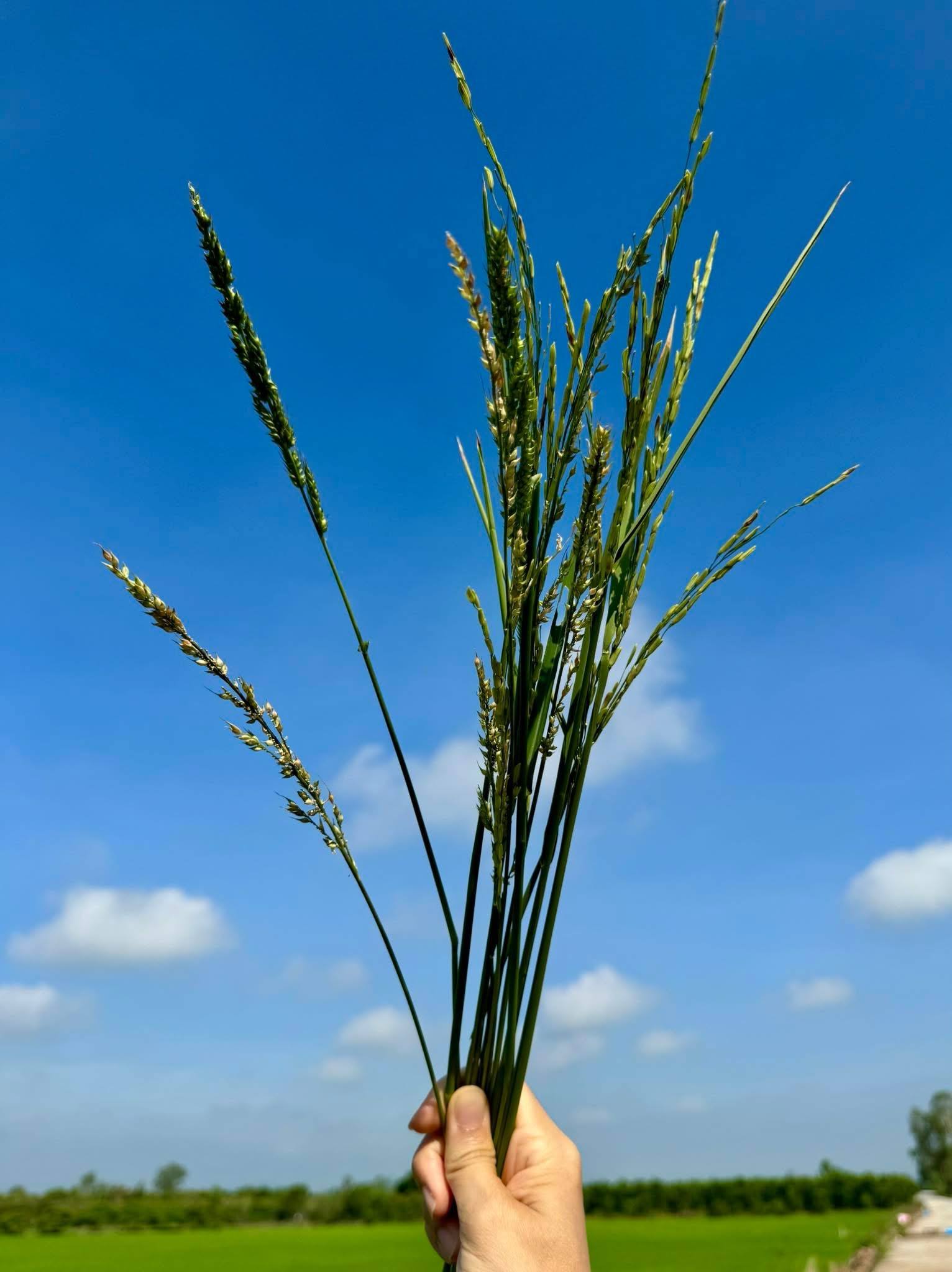 Nguyên tắc sống: 20 quy luật có tác động lớn đến cuộc sống!